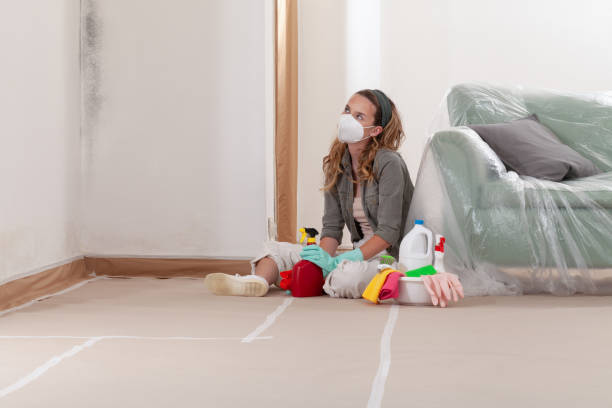 Reliable Mold Remediation contractor in New Brunswick, NJ by Cheap Mold Removal